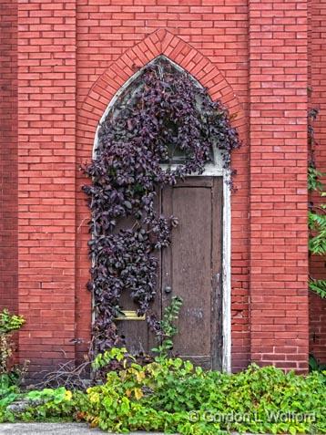 Overgrown Door_28815-6.jpg - Photographed at Jasper, Ontario, Canada.